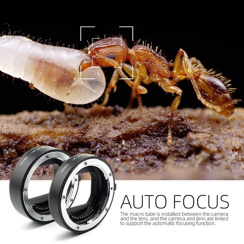 Canon Camera Eos R8 - Meike MK-RF-AF1 Anneau d'extension macro autofocus